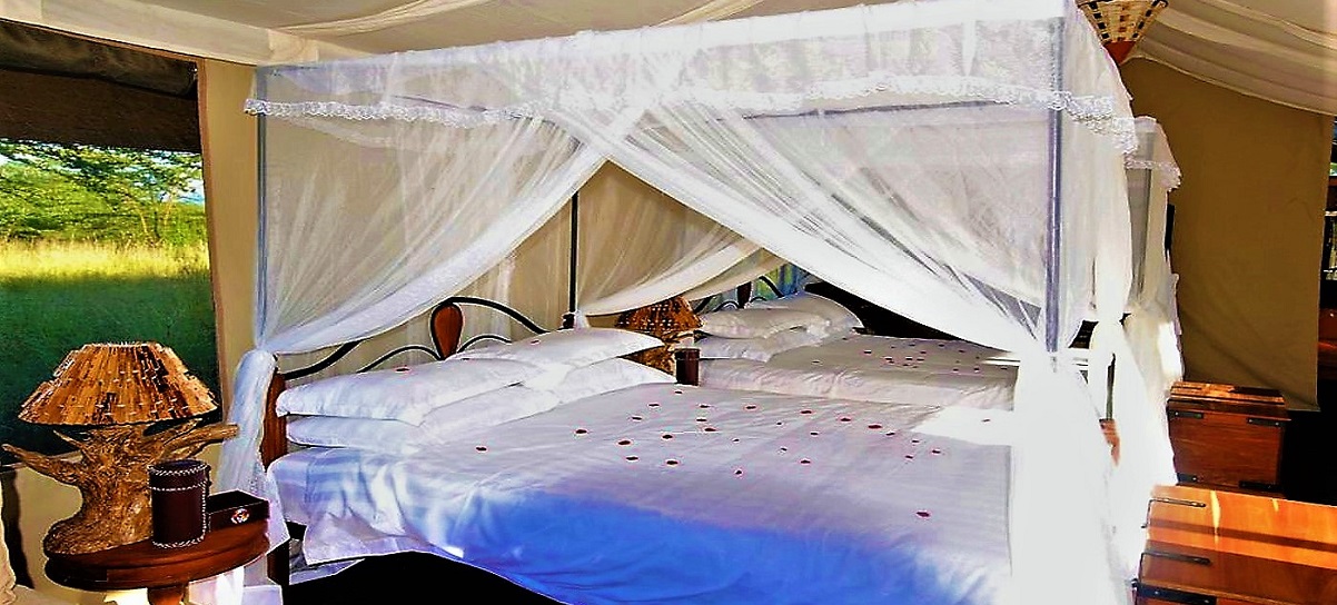 sana=bush=camp=ndutu=bedroom