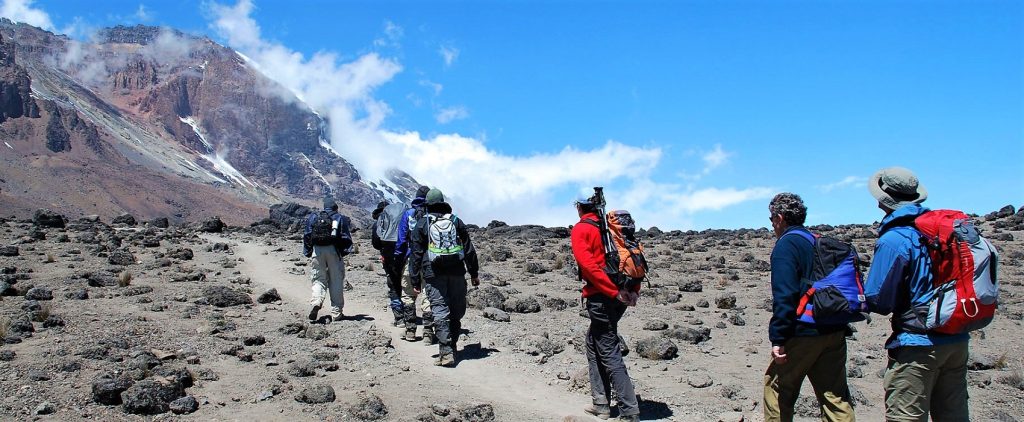 8 Days Kilimanjaro Trekking Rongai