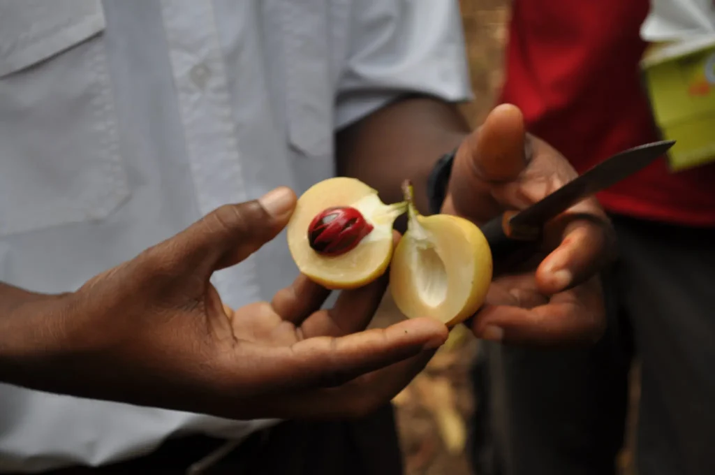 6 Days Zanzibar Beach Holiday