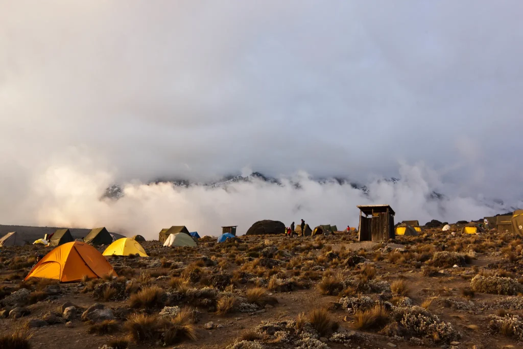 7 Days Kilimanjaro Trekking via Umbwe Route