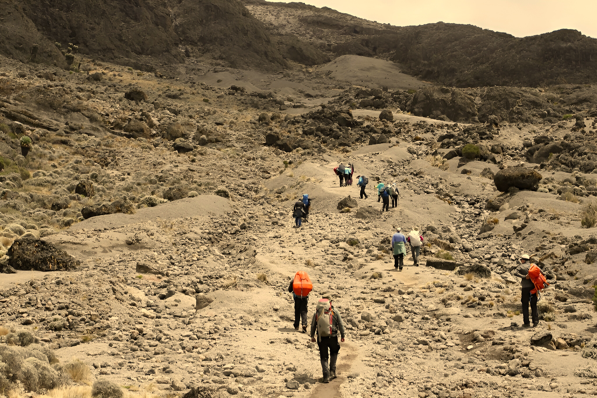 8 Days Kilimanjaro Trekking Safaris via 6 Days Lemosho Route