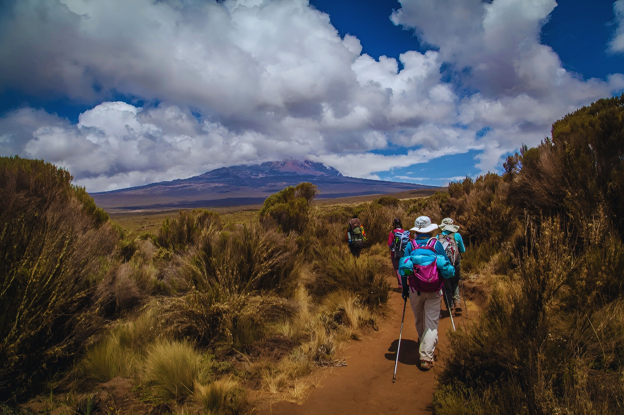 9 Days Kilimanjaro Trekking Safaris via 7 Days Rongai Route