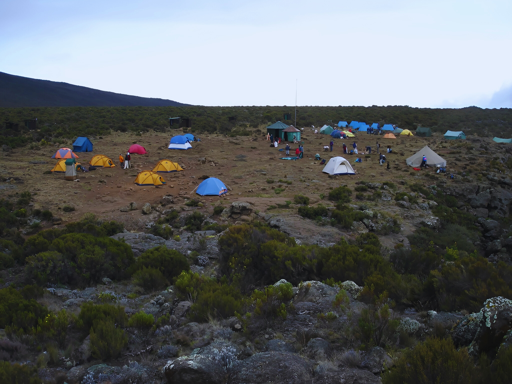 10 Days Kilimanjaro Trekking Safaris via 8 Days Northern Circuit Kilimanjaro Trekking Route