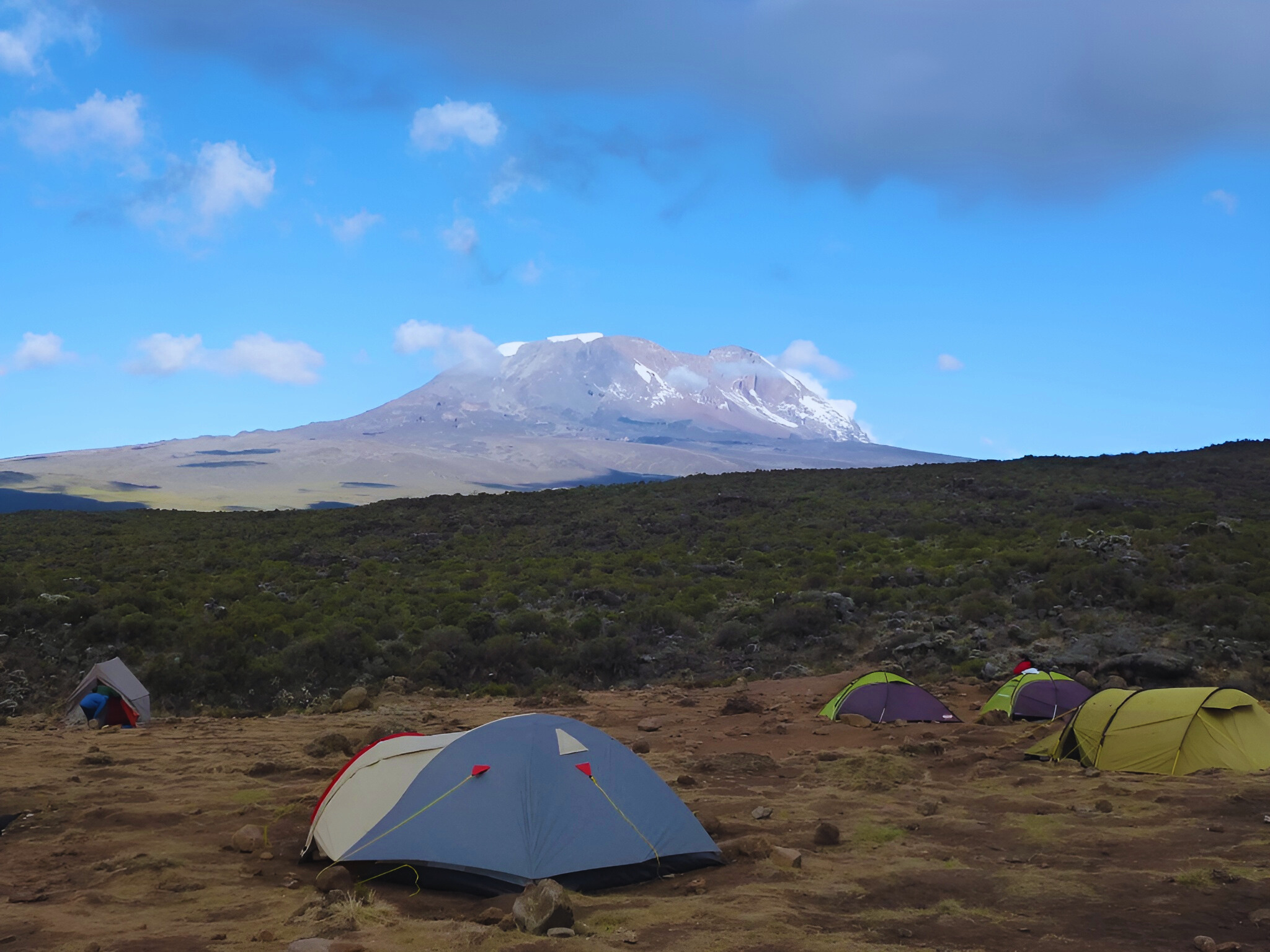 11 Days Kilimanjaro Trekking Safaris via 9 Days Northern Circuit Route