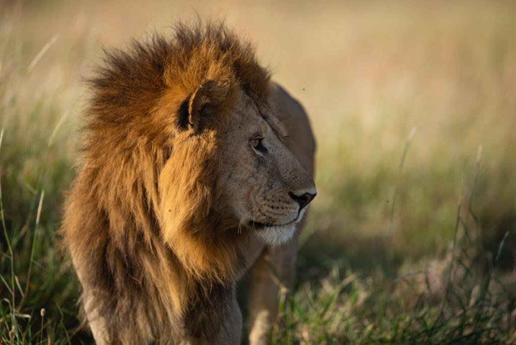 Serengeti National Park