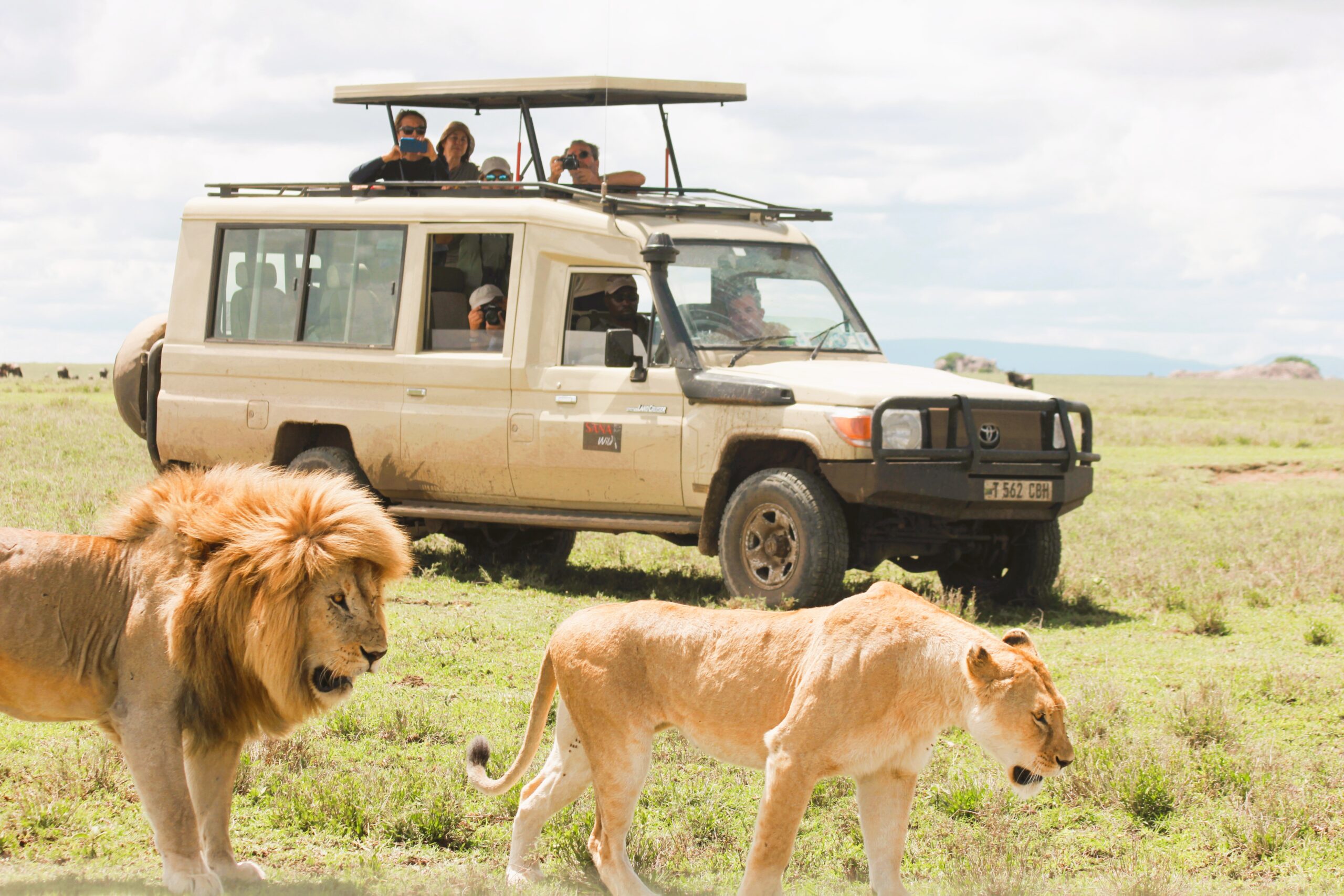 Tanzania Wildlife Safaris | 2026 & 2027
