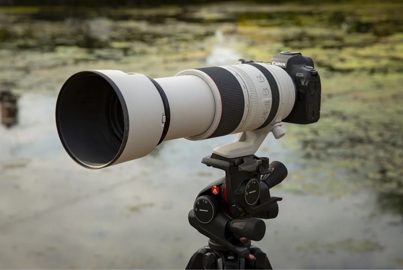 best-camera-for-wildlife-safari-in-africa