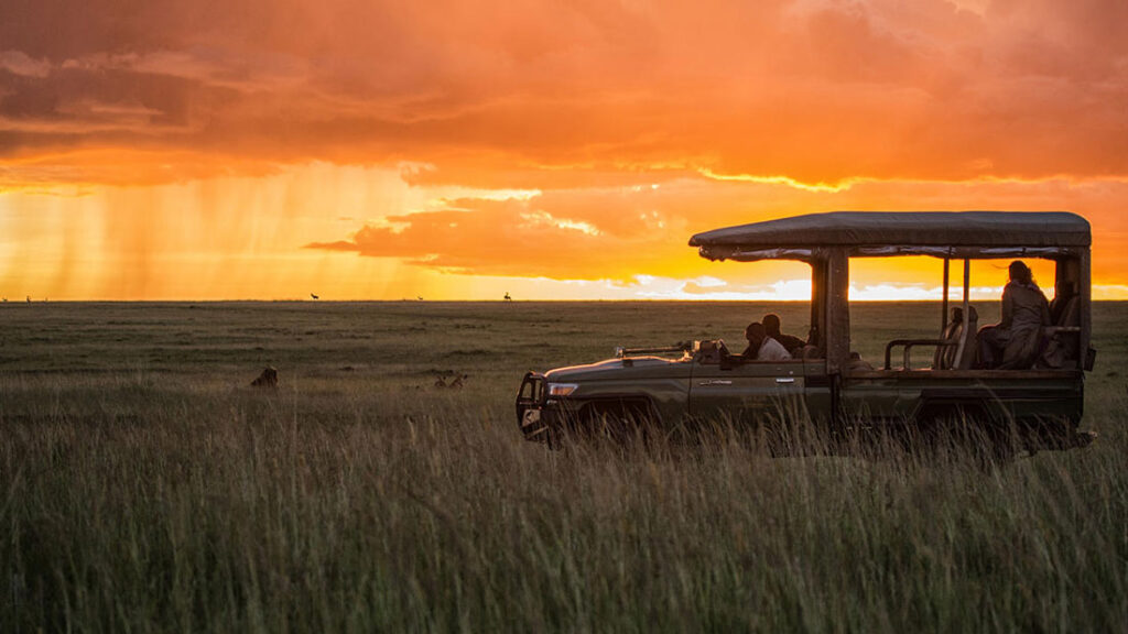 game-drive-during-the-family-safari