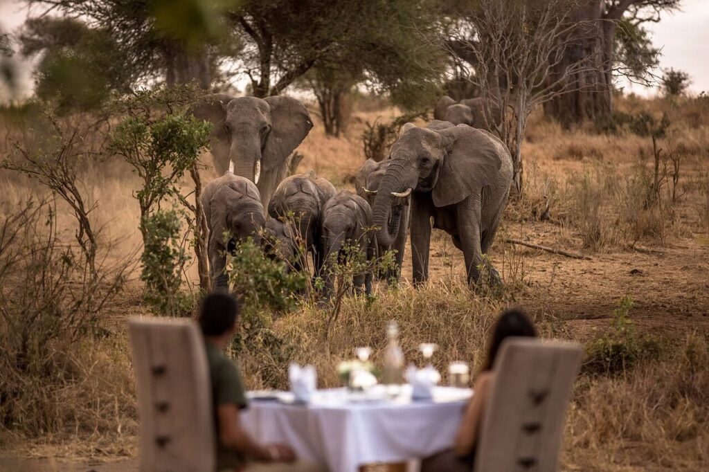 lunch-in-the-bush-luxury-safari-tanzania