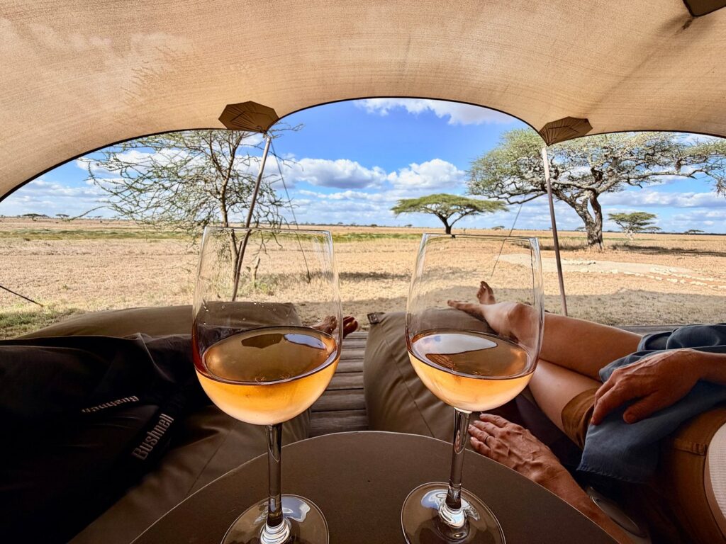 luxury-camp-overlooking-the-savana-in-serengeti