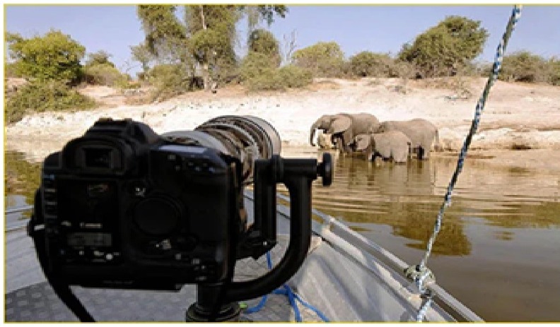 capturing-elephants-on-photographic-safari-in-africa