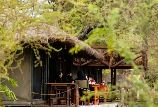 safari-lodge-exterior-view-during-tarangire-safari