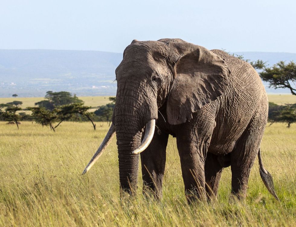 2-Day Tarangire & Ngorongoro Crater Safari Itinerary