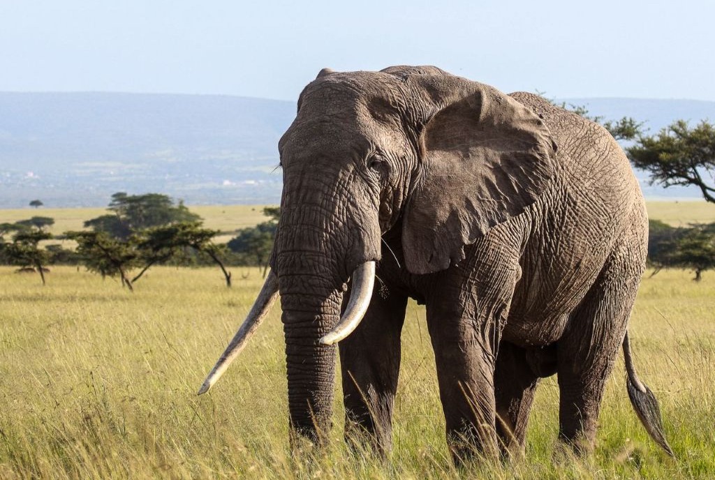 2-Day Tarangire & Ngorongoro Crater Safari Itinerary