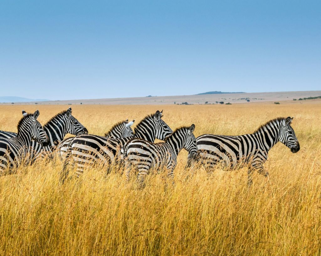 3-Day Tarangire and Ngorongoro Crater Safari Itinerary