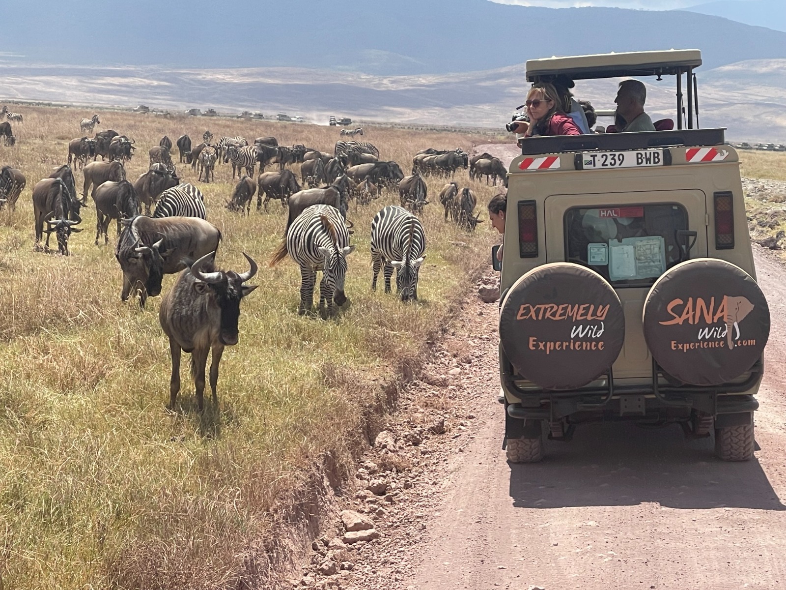 8 Day Tanzania Safari | Wildlife & Cultural Tour