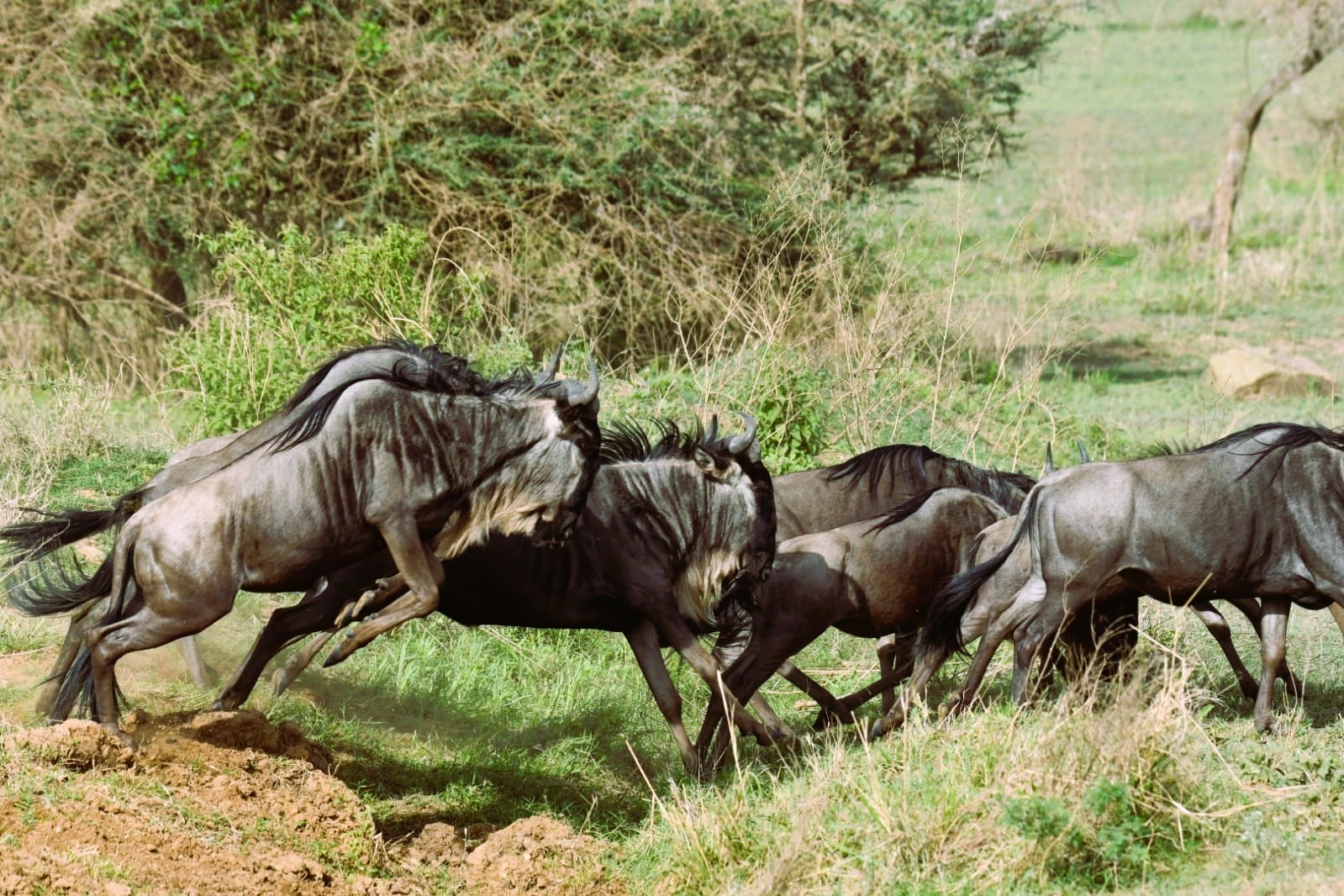 Serengeti National Park