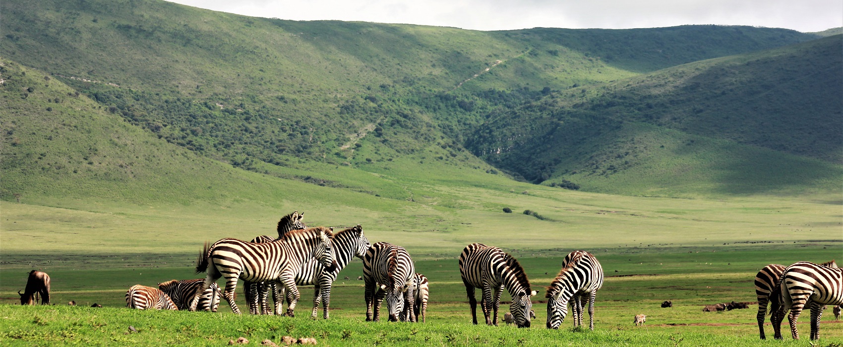Ngorongoro Conservation Area