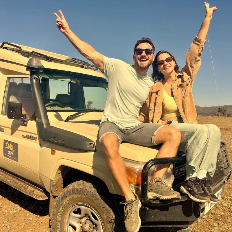 Safari Holiday Inside Cover Page